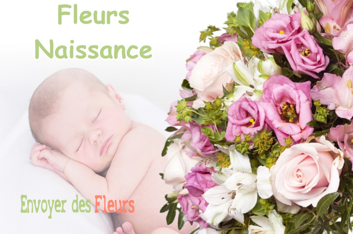 lIVRAISON FLEURS NAISSANCE à MEYLAN