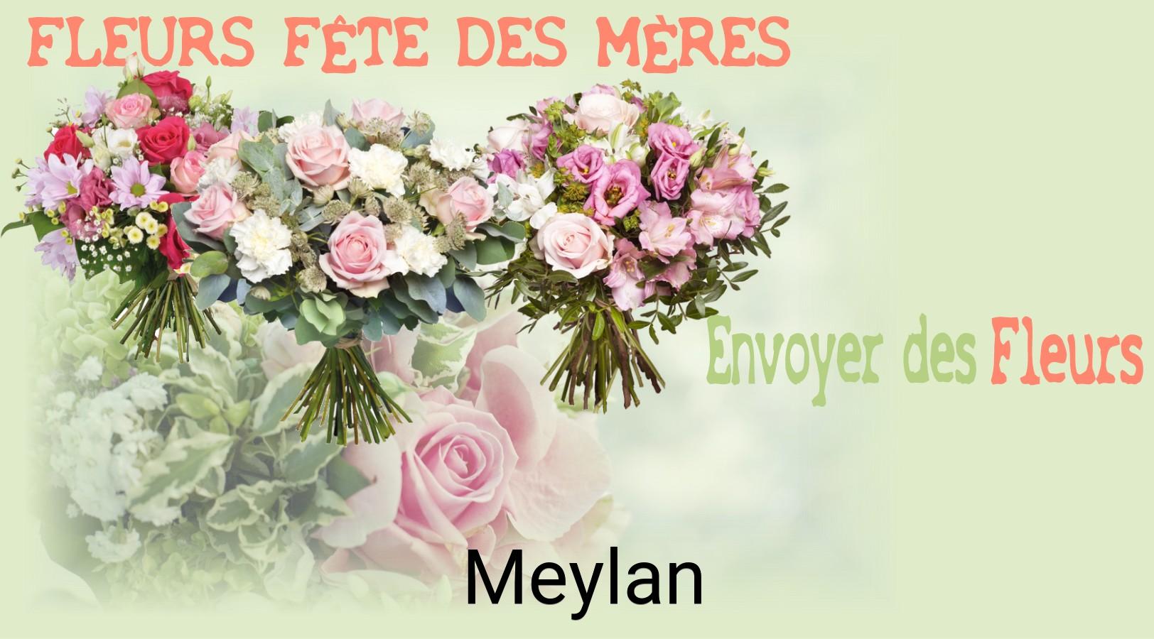 Bouquet de Fête des Mères livré à Meylan